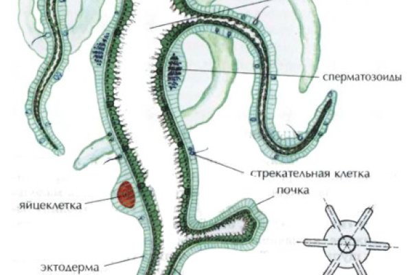 Кракен это современный даркнет маркет плейс