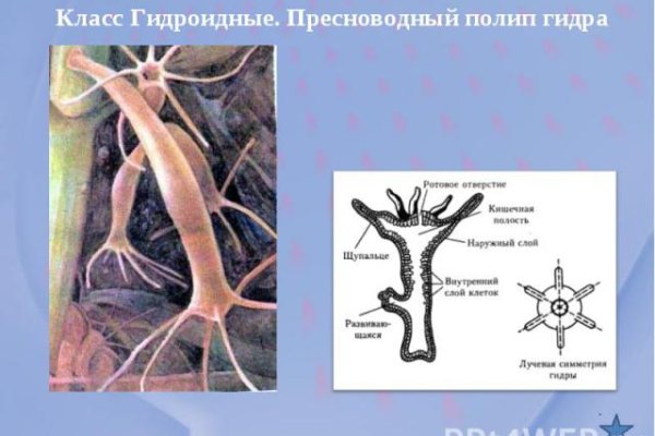 Сайт кракен онион