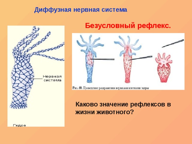 Кракен официальный сайт онион