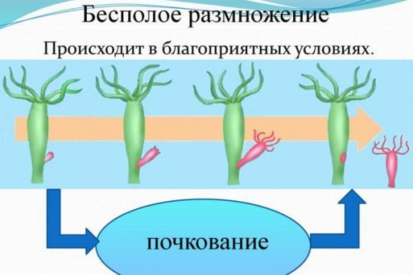 Кракен маркетплейс ссылка
